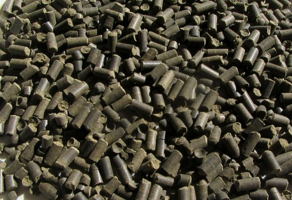 Salbei Pellet