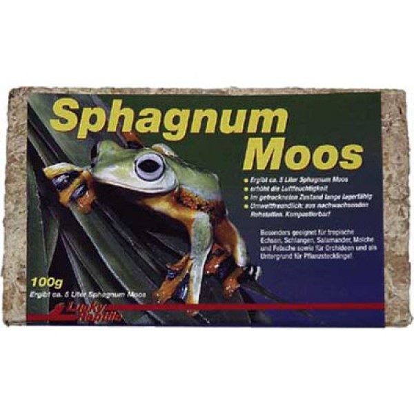 Sphagnum Moos Ziegel - 100 g