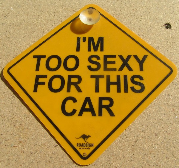 Road Sign - I´m too sexy