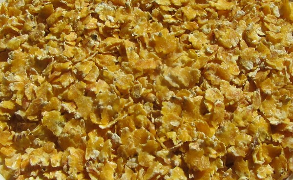 Maisflakes