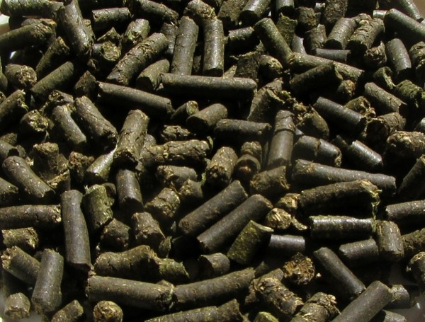 Topinambur Pellet