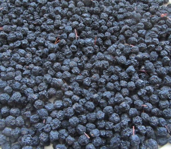 Aronia Beeren